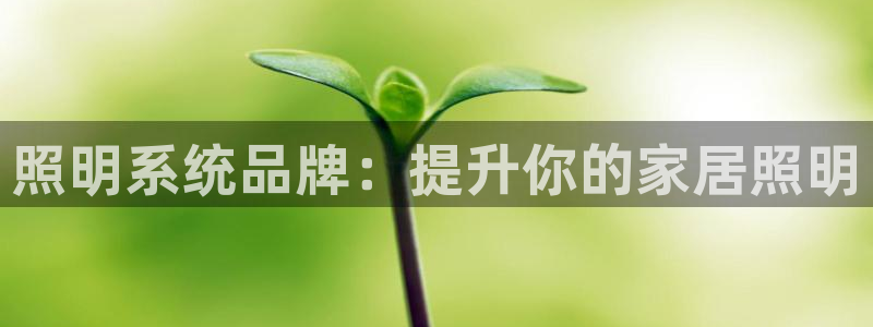 照明系统品牌：提升你的家居照明