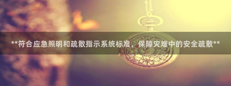 **符合应急照明和疏散指示系统标准，保障灾难中的安全疏散**