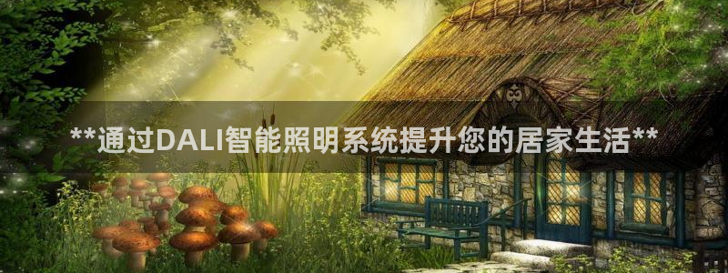 **通过DALI智能照明系统提升您的居家生活**