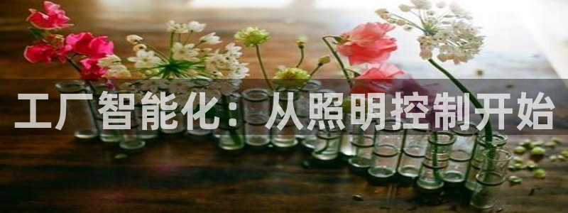 工厂智能化：从照明控制开始