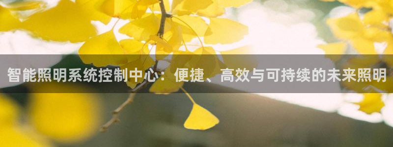 智能照明系统控制中心：便捷、高效与可持续