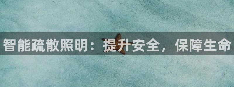 智能疏散照明：提升安全，保障生命