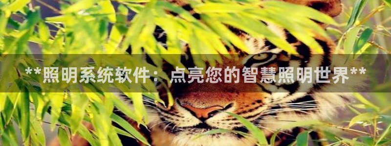 **照明系统软件：点亮您的智慧照明世界**