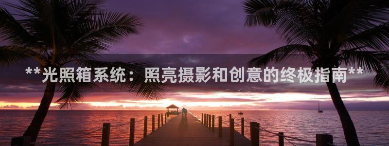 **光照箱系统：照亮摄影和创意的终极指南