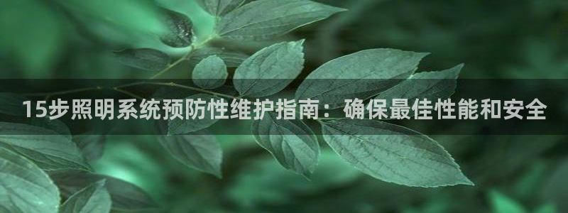 15步照明系统预防性维护指南：确保最佳性
