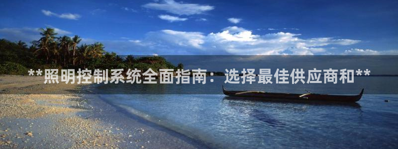 **照明控制系统全面指南：选择最佳供应商和**