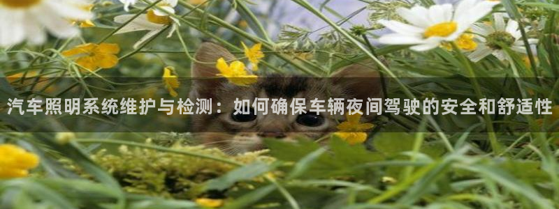 汽车照明系统维护与检测：如何确保车辆夜间驾驶的安全和舒适性