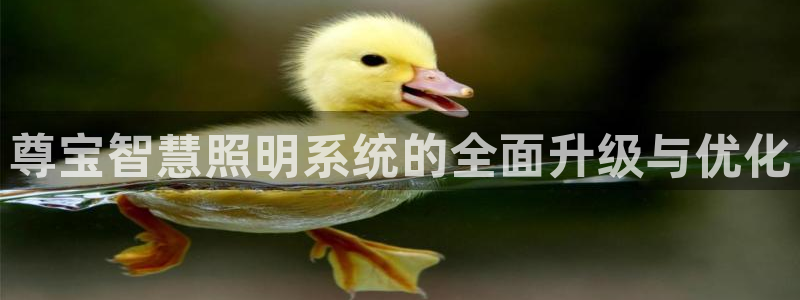 尊宝智慧照明系统的全面升级与优化