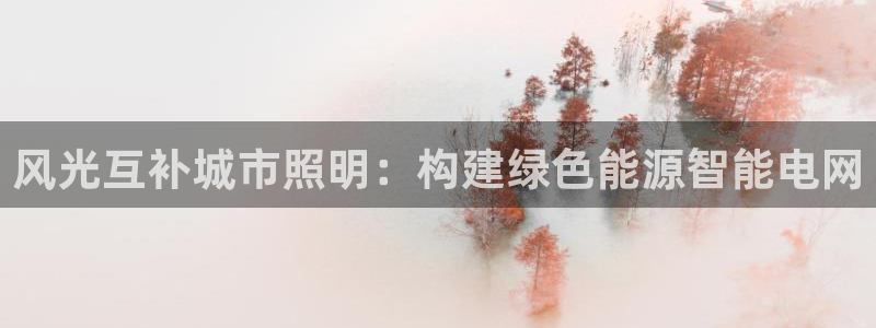风光互补城市照明：构建绿色能源智能电网