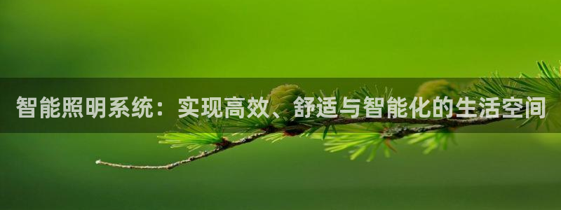 智能照明系统：实现高效、舒适与智能化的生活空间
