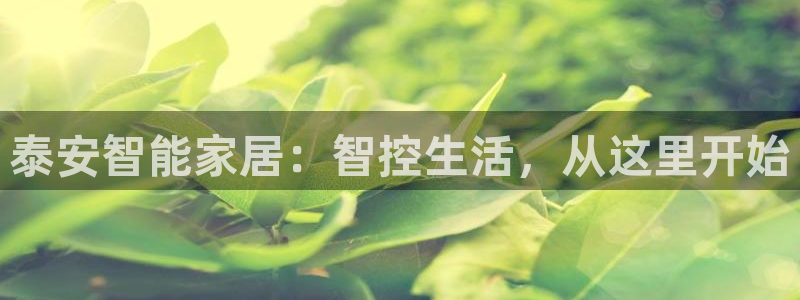 泰安智能家居：智控生活，从这里开始