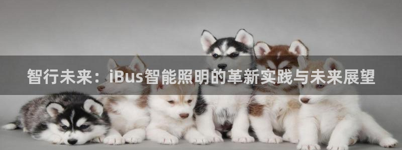 智行未来:iBus智能照明的革新实践与未来展望