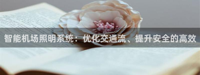 智能机场照明系统：优化交通流、提升安全的高效