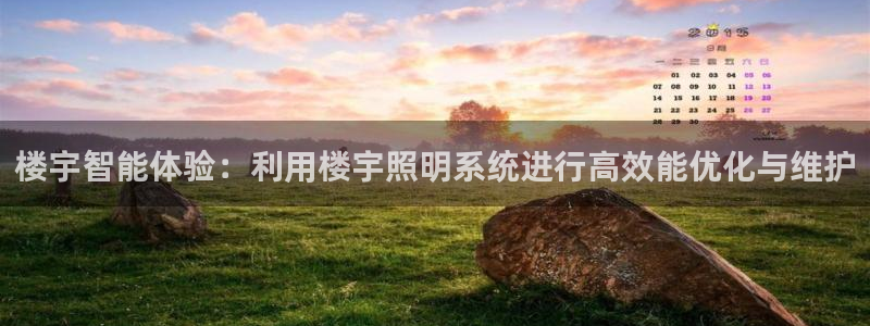 楼宇智能体验：利用楼宇照明系统进行高效能优化与维护