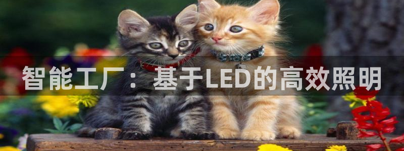 智能工厂：基于LED的高效照明
