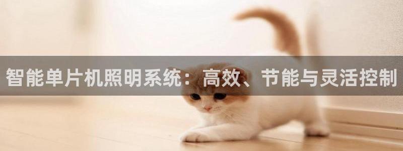 智能单片机照明系统：高效、节能与灵活控制