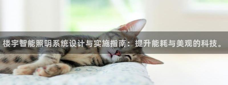 楼宇智能照明系统设计与实施指南：提升能耗与美观的科技。