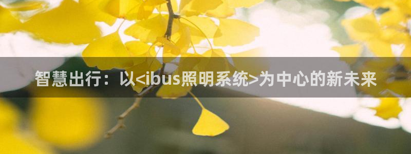 智慧出行：以<ibus照明系统>为中心的新未来