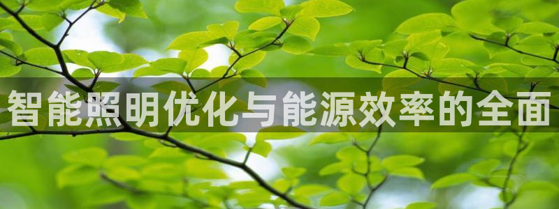 智能照明优化与能源效率的全面