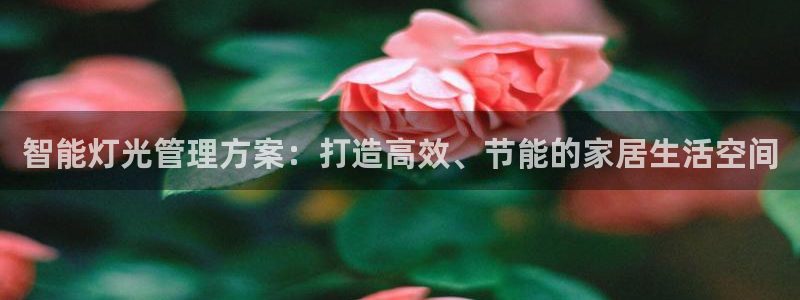 智能灯光管理方案:打造高效、节能的家居生活空间