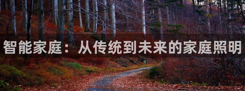 智能家庭:从传统到未来的家庭照明