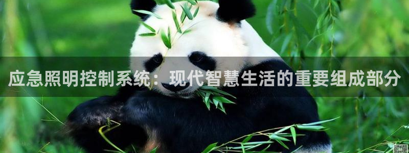 应急照明控制系统：现代智慧生活的重要组成