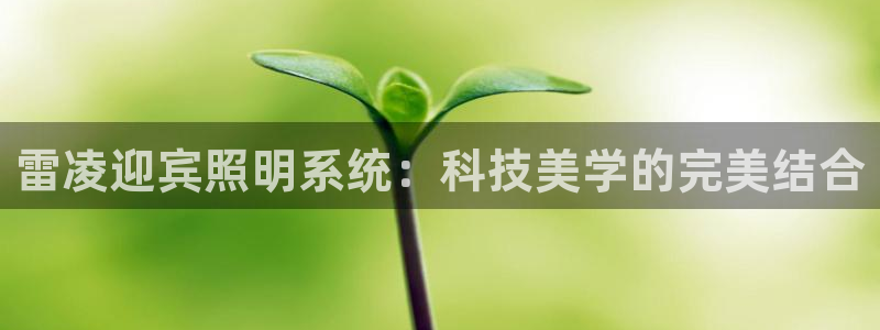 雷凌迎宾照明系统：科技美学的完美结合