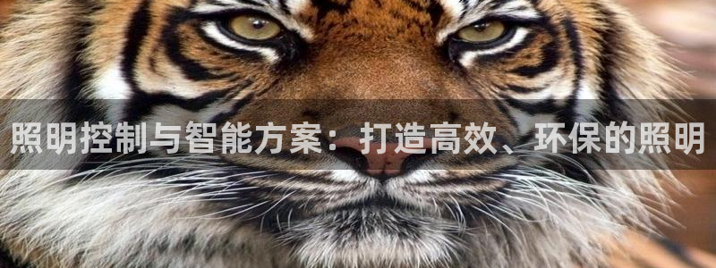 照明控制与智能方案：打造高效、环保的照明