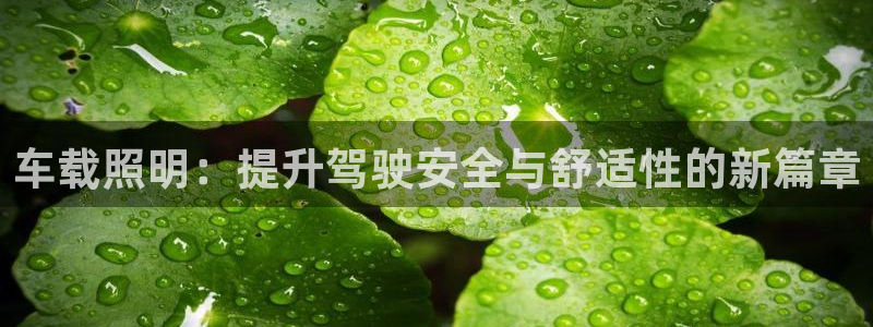 车载照明：提升驾驶安全与舒适性的新篇章