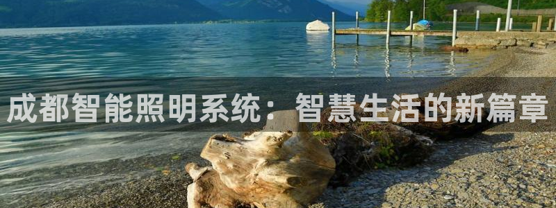 成都智能照明系统：智慧生活的新篇章