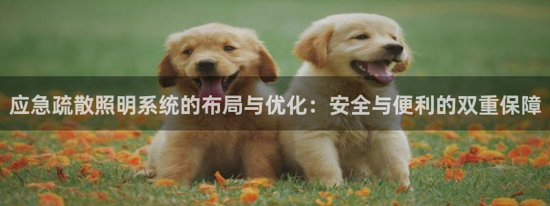 应急疏散照明系统的布局与优化：安全与便利