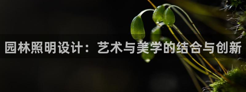 园林照明设计：艺术与美学的结合与创新
