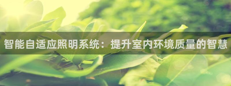 智能自适应照明系统：提升室内环境质量的智慧