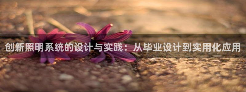 创新照明系统的设计与实践：从毕业设计到实用化应用