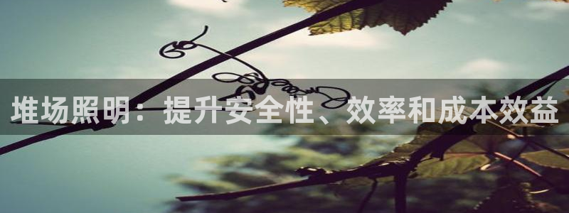 堆场照明：提升安全性、效率和成本效益