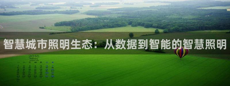 智慧城市照明生态:从数据到智能的智慧照明