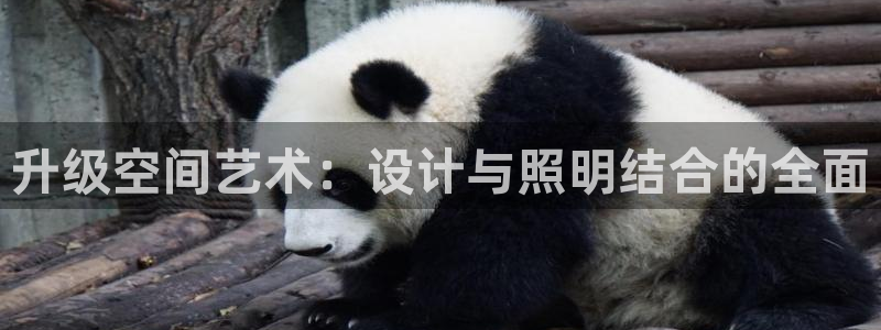 升级空间艺术：设计与照明结合的全面