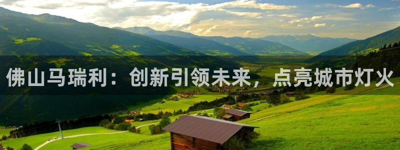 佛山马瑞利：创新引领未来，点亮城市灯火