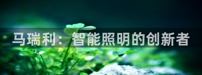 马瑞利：智能照明的创新者