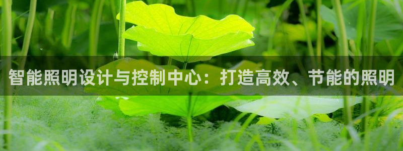 智能照明设计与控制中心：打造高效、节能的照明