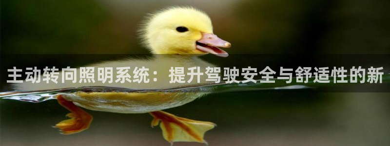 主动转向照明系统：提升驾驶安全与舒适性的新