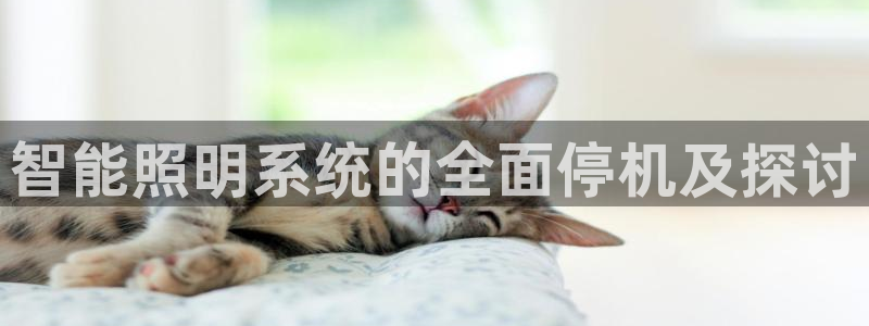 智能照明系统的全面停机及探讨