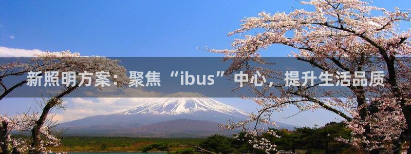 新照明方案：聚焦“ibus”中心，提升生活品质