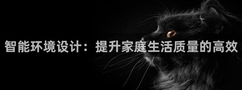 智能环境设计：提升家庭生活质量的高效