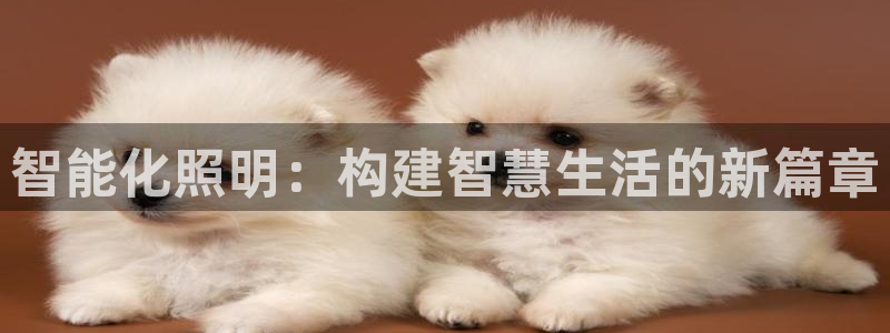 智能化照明：构建智慧生活的新篇章