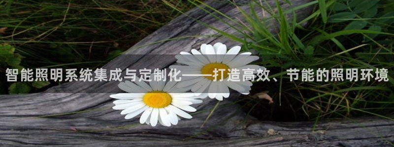 智能照明系统集成与定制化——打造高效、节能的照明环境