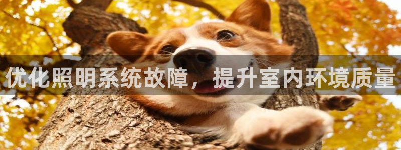 优化照明系统故障，提升室内环境质量