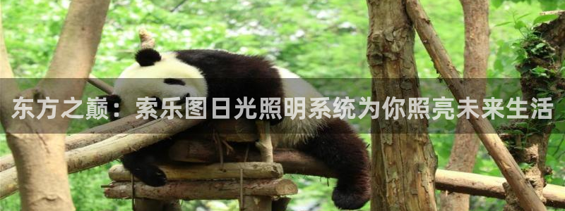 东方之巅：索乐图日光照明系统为你照亮未来生活