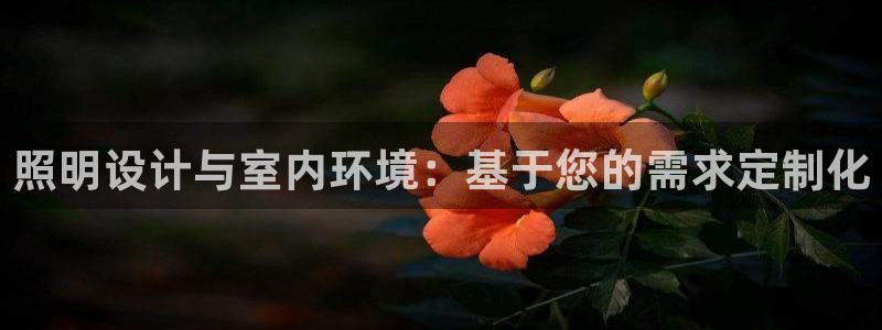 照明设计与室内环境：基于您的需求定制化