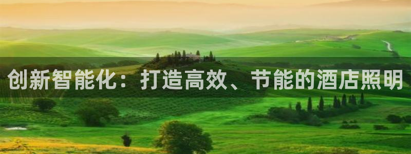 创新智能化：打造高效、节能的酒店照明